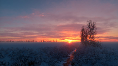 "Dutch Winter Sunrise" By Martin Huisman