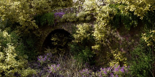 Untitled by Rudi Hendrich