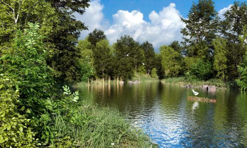 Untitled by Rudi Hendrich