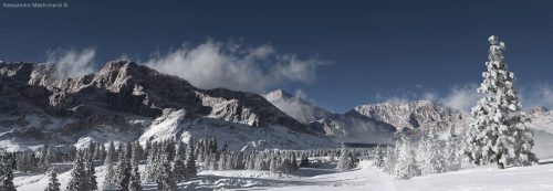 Alpine by Alessandro Mastronardi