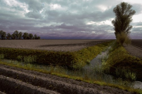 "Dutch Landscape" By Martin Huisman