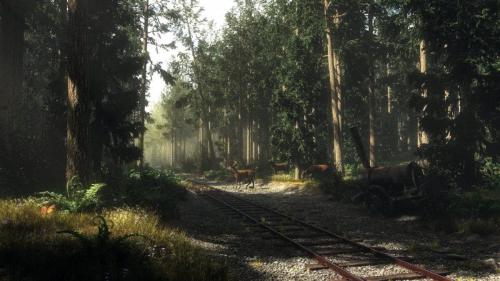 "Old Rail" By Jordan Thomson & Ulco Glimmerveen