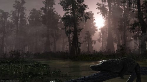 Swamp by Alessandro Mastronardi