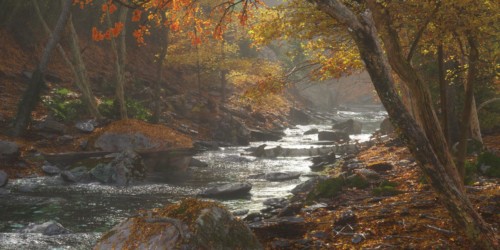 Autumn River by Marc Schneider