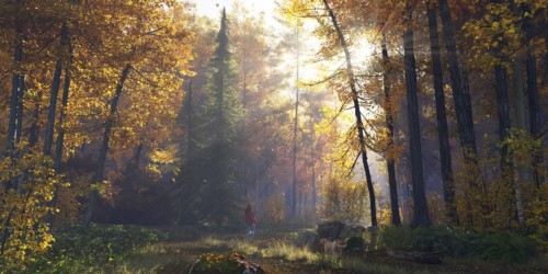 "Autumnal Wood Stroll" By Marc Schneider-