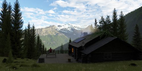 Contemplation by Marc Schneider