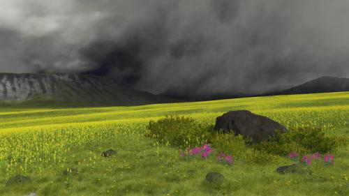 "Icelandic Meadow" by Lane Henderson
